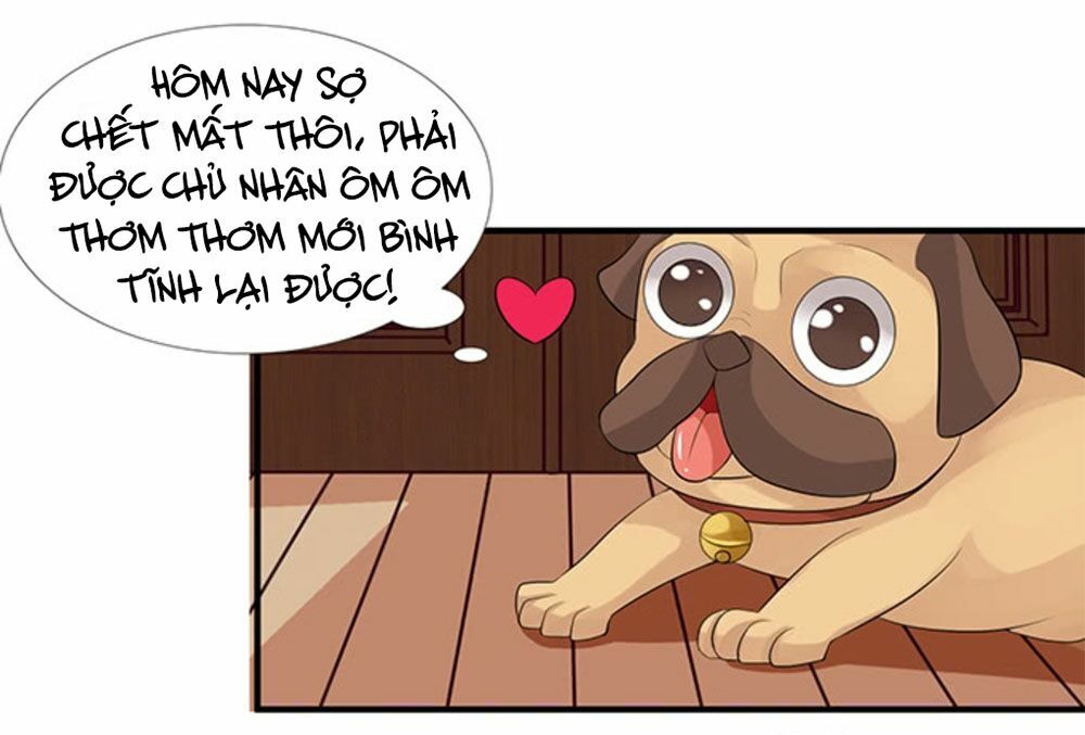 Vương Tử Nhà Tôi Là Nô Bộc: Chapter 131