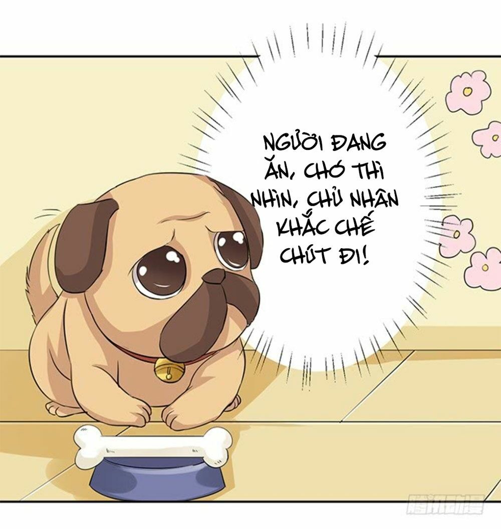 Vương Tử Nhà Tôi Là Nô Bộc: Chapter 131