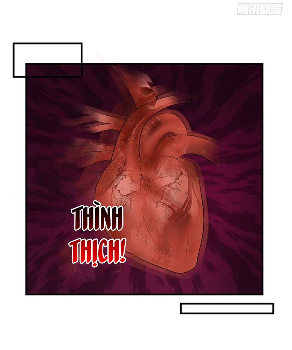 Vương Tử Nhà Tôi Là Nô Bộc: Chapter 142