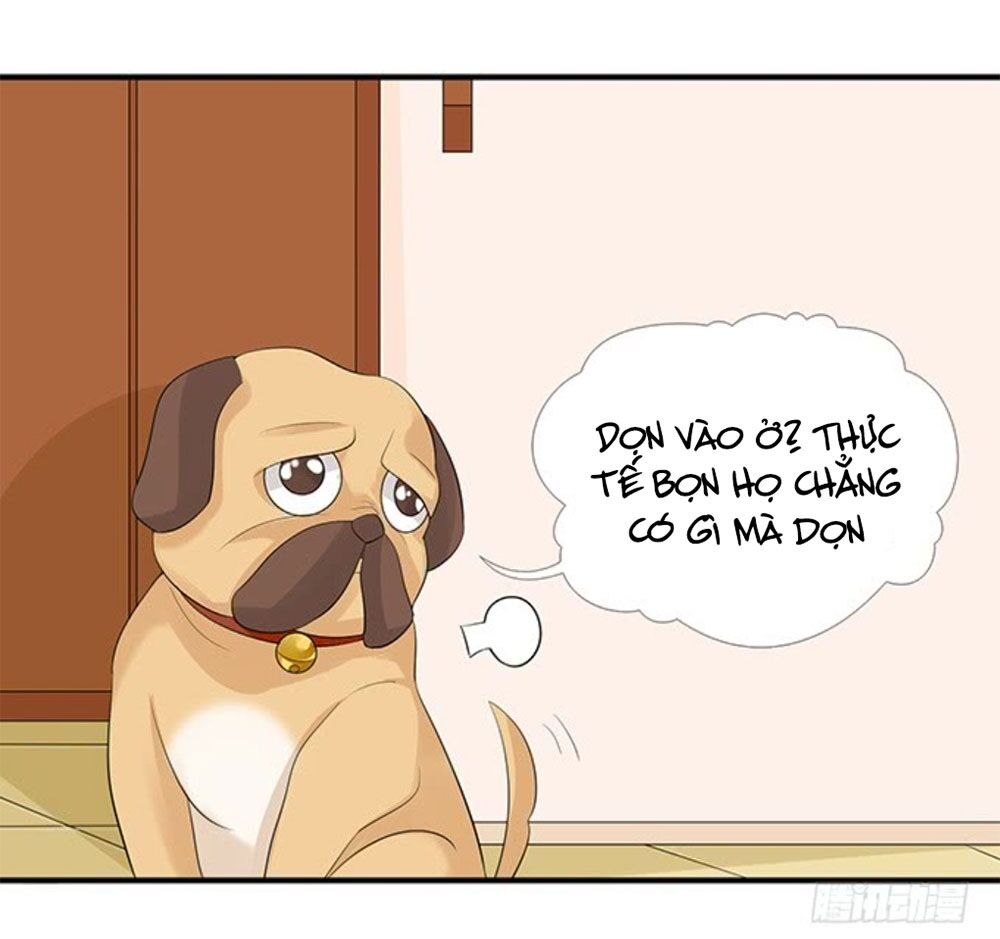 Vương Tử Nhà Tôi Là Nô Bộc: Chapter 142