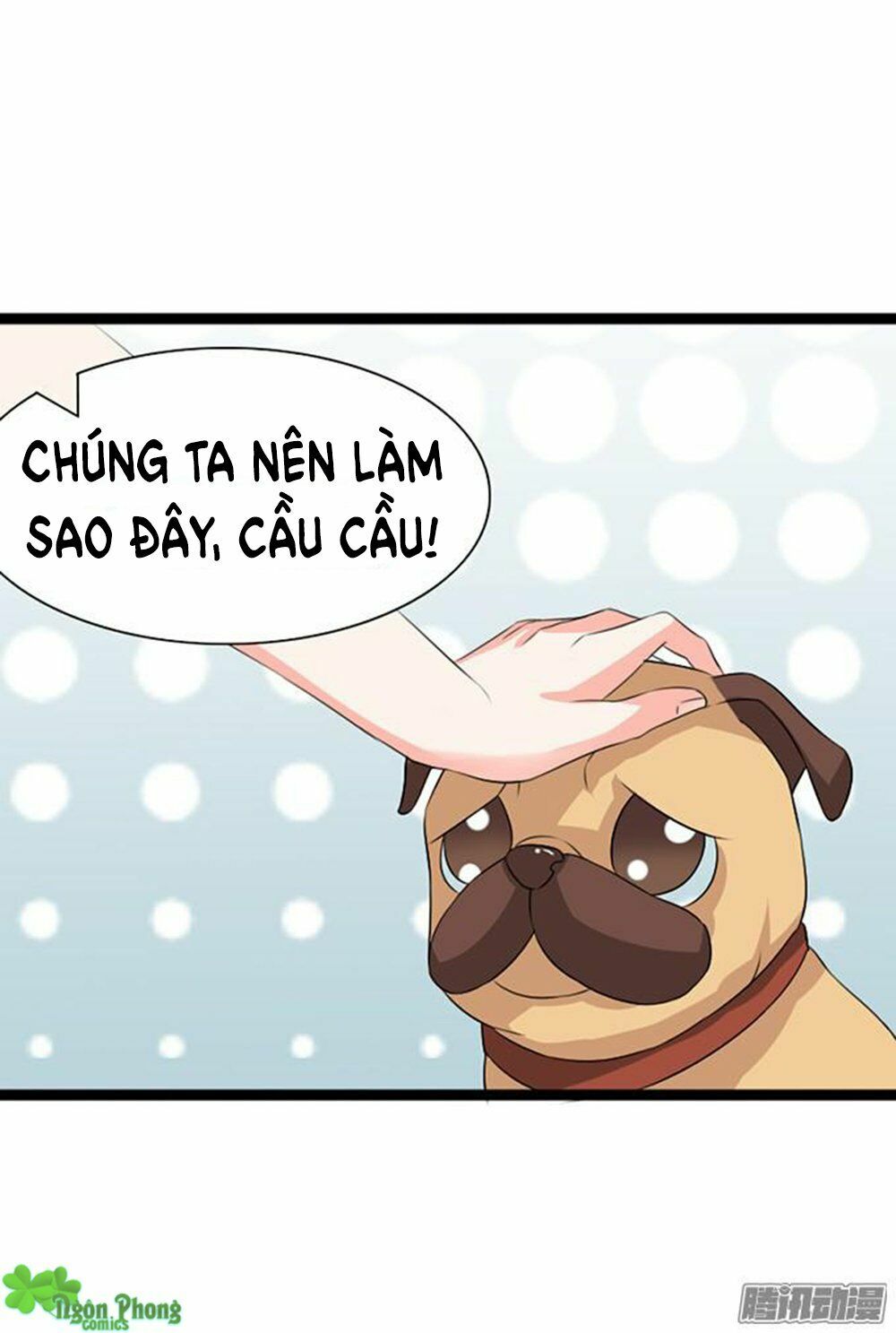 Vương Tử Nhà Tôi Là Nô Bộc: Chapter 15