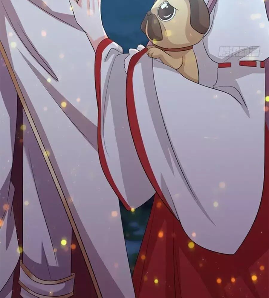 Vương Tử Nhà Tôi Là Nô Bộc: Chapter 161