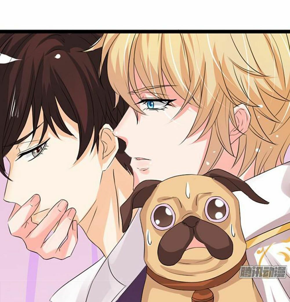 Vương Tử Nhà Tôi Là Nô Bộc: Chapter 17