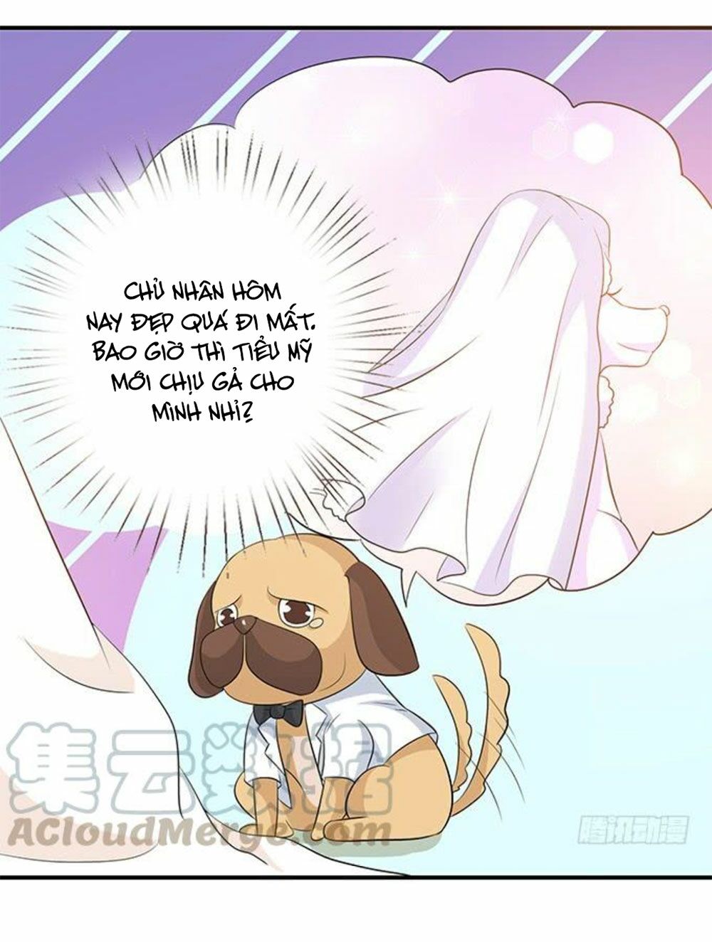 Vương Tử Nhà Tôi Là Nô Bộc: Chapter 187