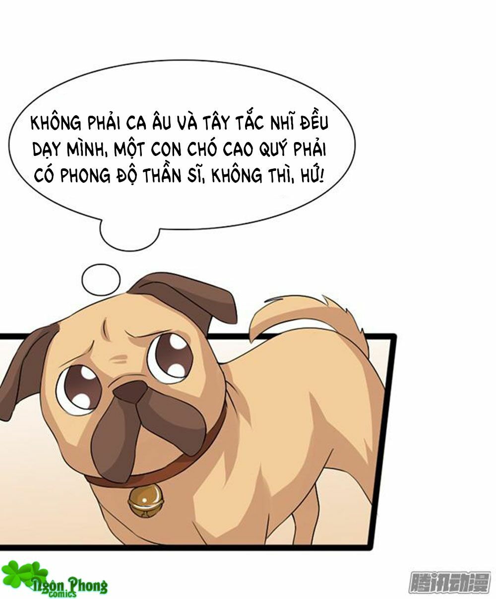 Vương Tử Nhà Tôi Là Nô Bộc: Chapter 24