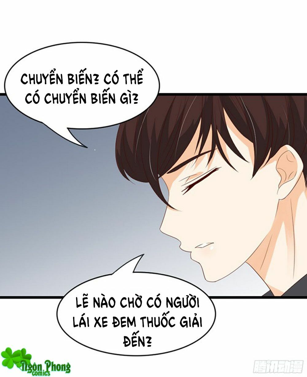 Vương Tử Nhà Tôi Là Nô Bộc: Chapter 40