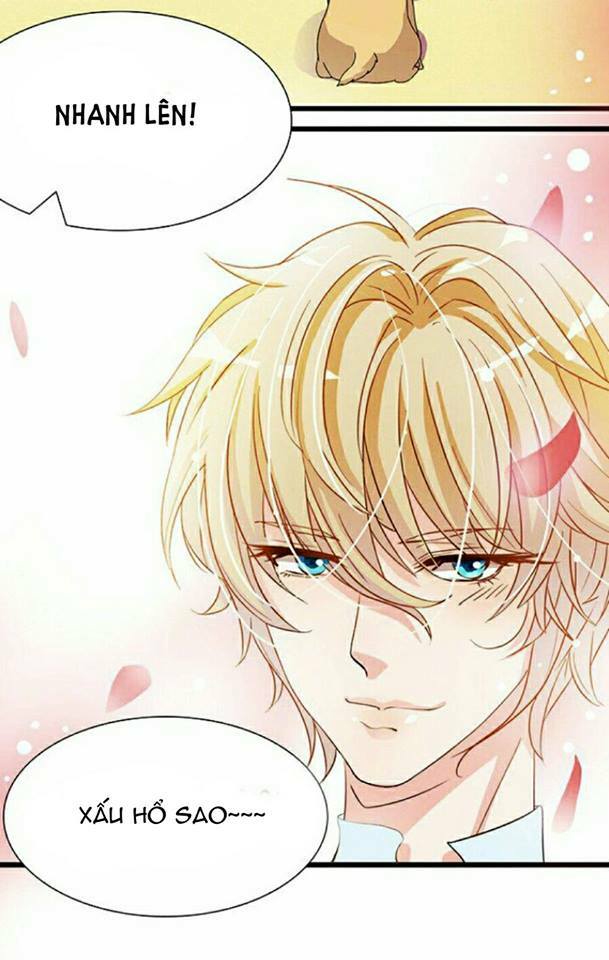 Vương Tử Nhà Tôi Là Nô Bộc: Chapter 6
