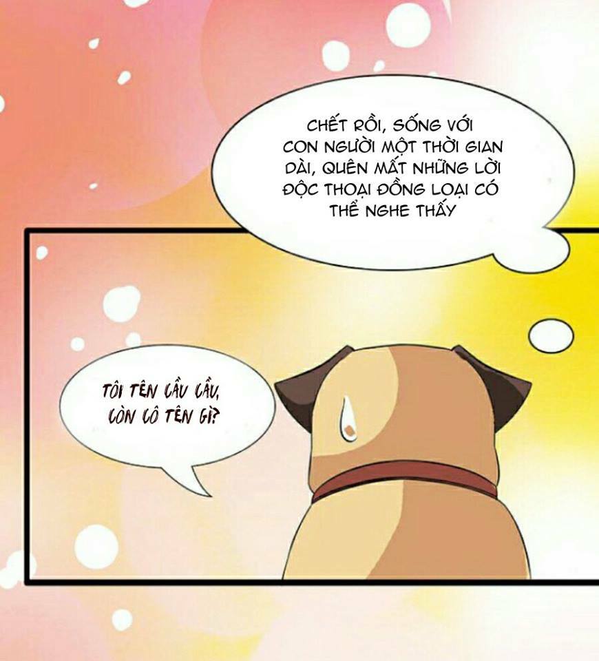 Vương Tử Nhà Tôi Là Nô Bộc: Chapter 6