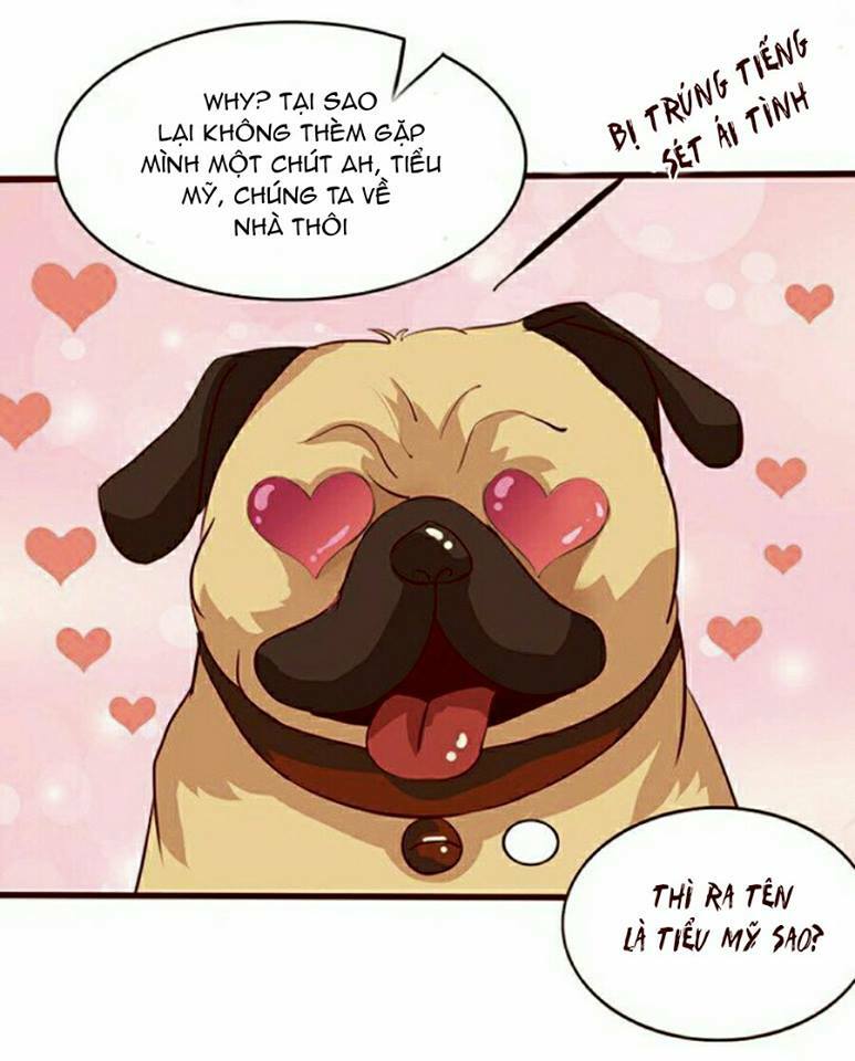 Vương Tử Nhà Tôi Là Nô Bộc: Chapter 6