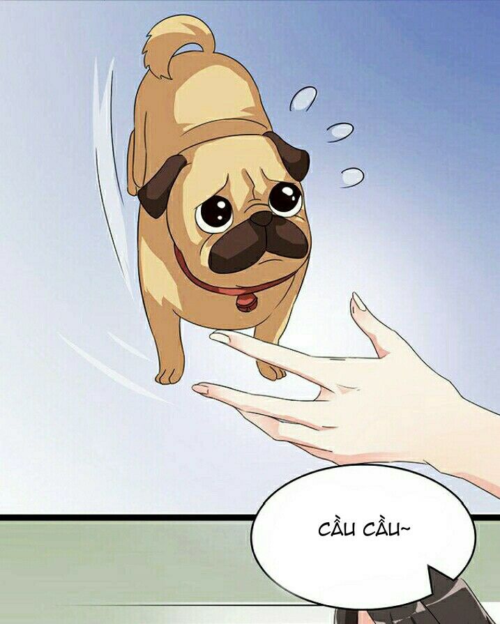 Vương Tử Nhà Tôi Là Nô Bộc: Chapter 6