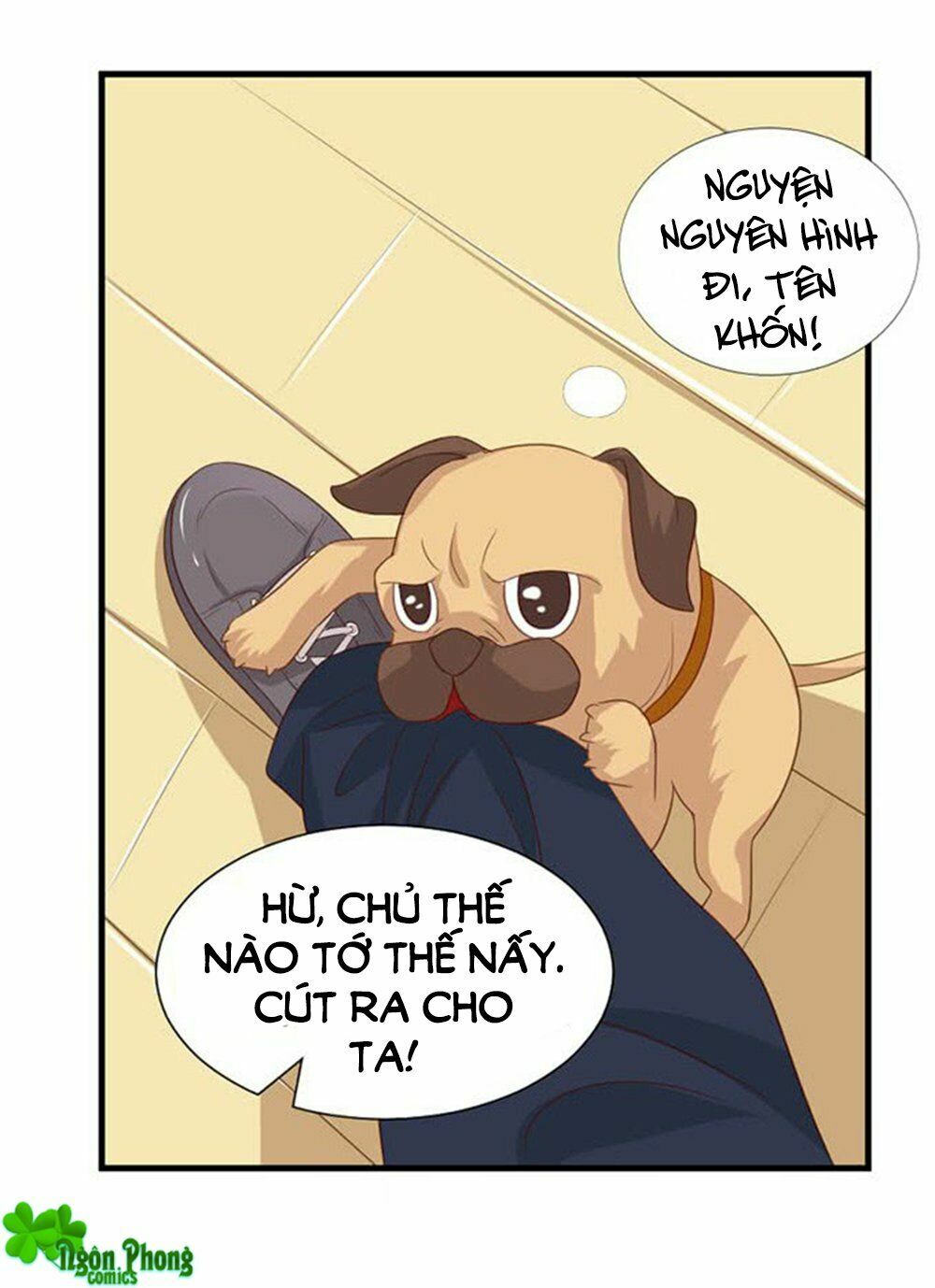 Vương Tử Nhà Tôi Là Nô Bộc: Chapter 62