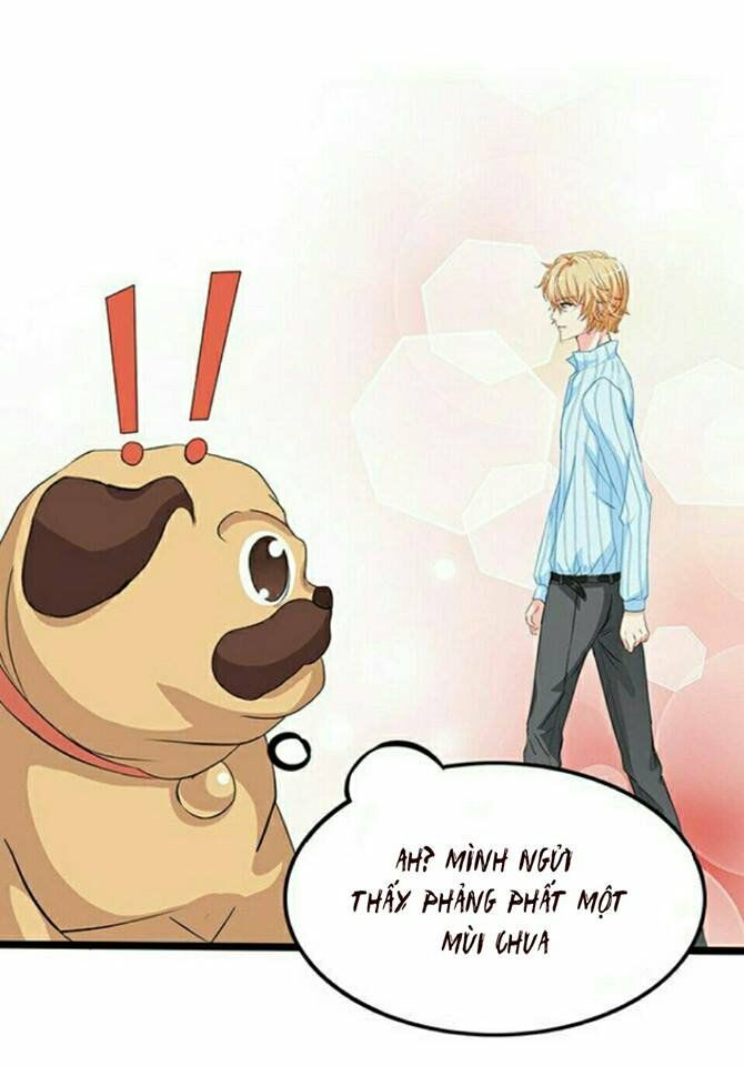 Vương Tử Nhà Tôi Là Nô Bộc: Chapter 7