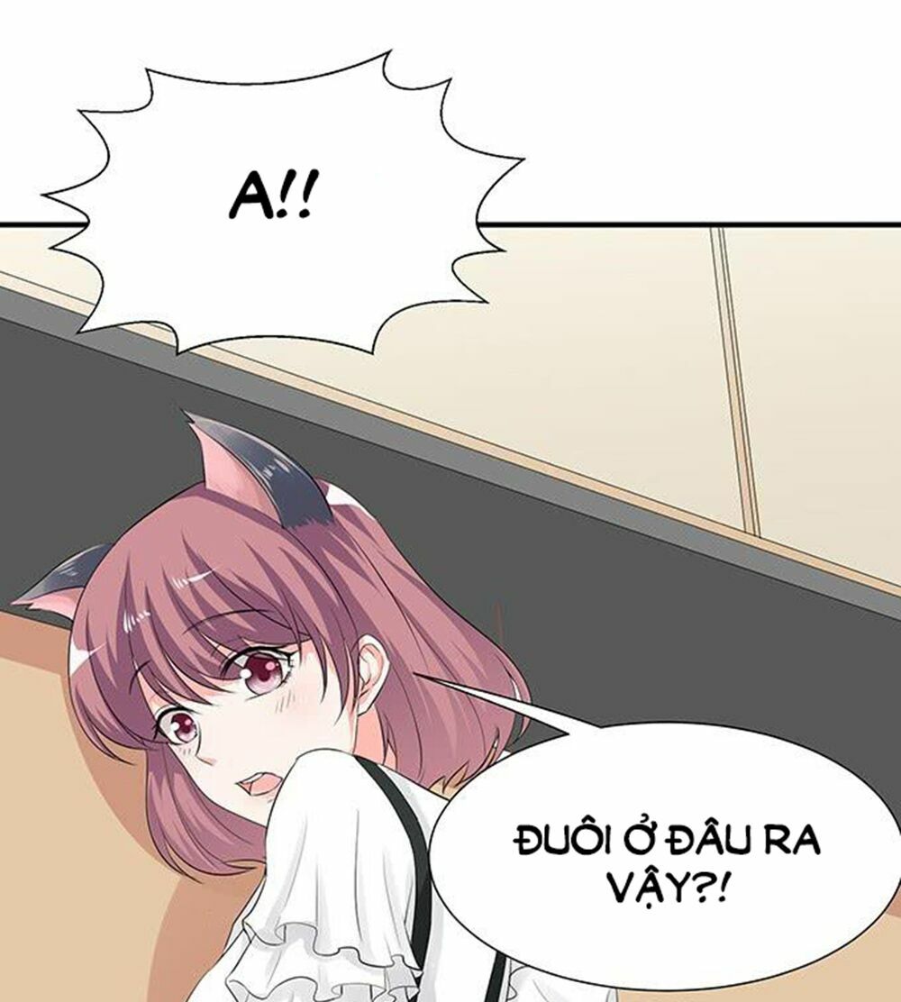Vương Tử Nhà Tôi Là Nô Bộc: Chapter 75