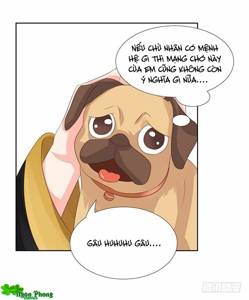 Vương Tử Nhà Tôi Là Nô Bộc: Chapter 76