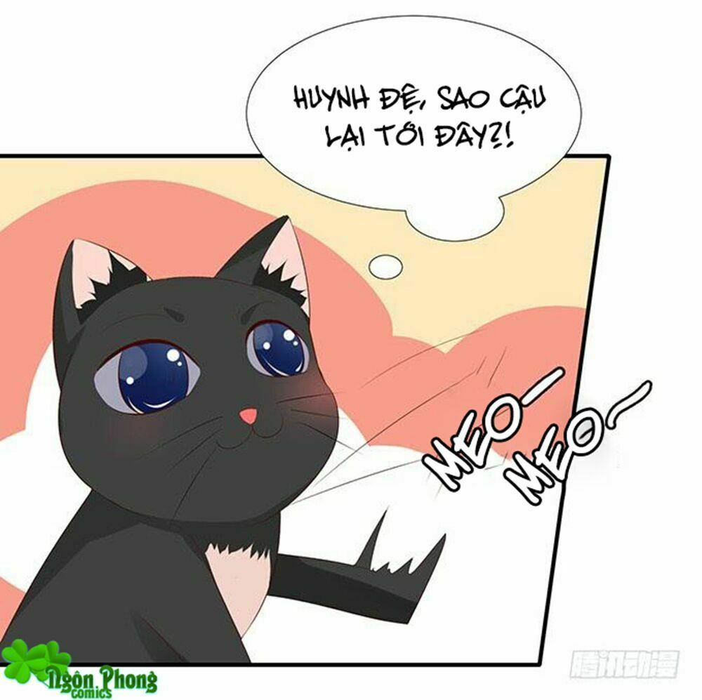 Vương Tử Nhà Tôi Là Nô Bộc: Chapter 81