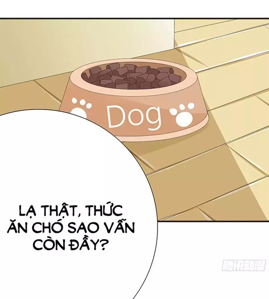 Vương Tử Nhà Tôi Là Nô Bộc: Chapter 89