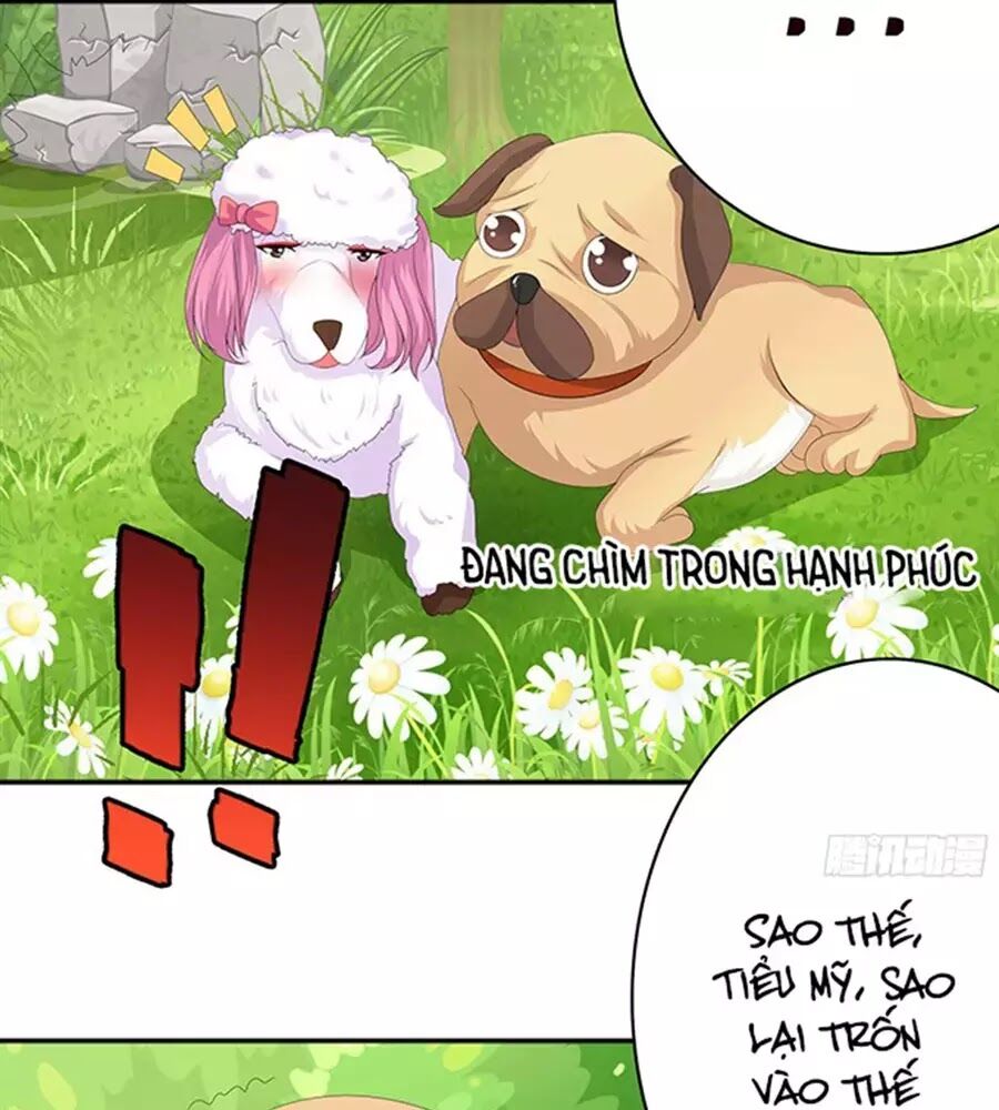 Vương Tử Nhà Tôi Là Nô Bộc: Chapter 89