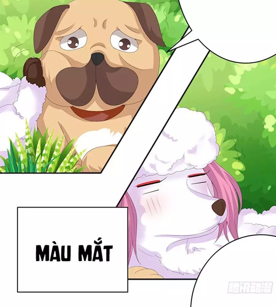 Vương Tử Nhà Tôi Là Nô Bộc: Chapter 89