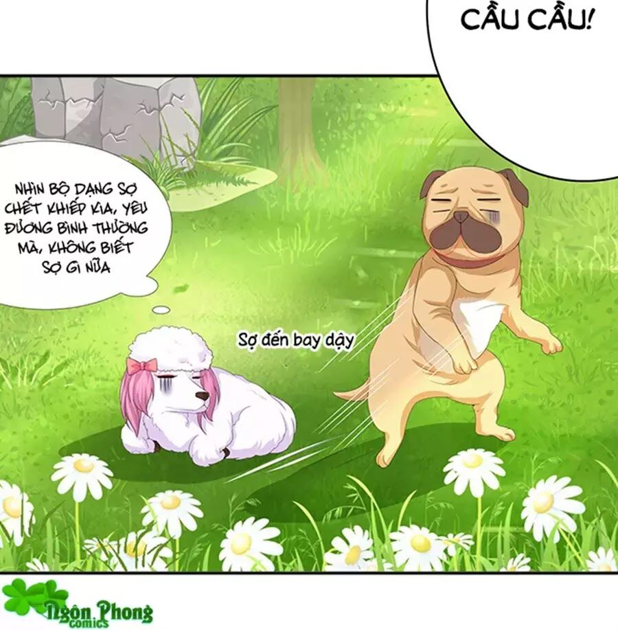 Vương Tử Nhà Tôi Là Nô Bộc: Chapter 89