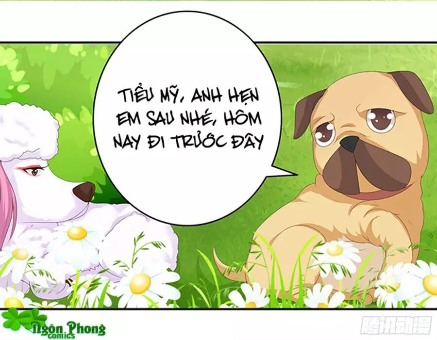 Vương Tử Nhà Tôi Là Nô Bộc: Chapter 89