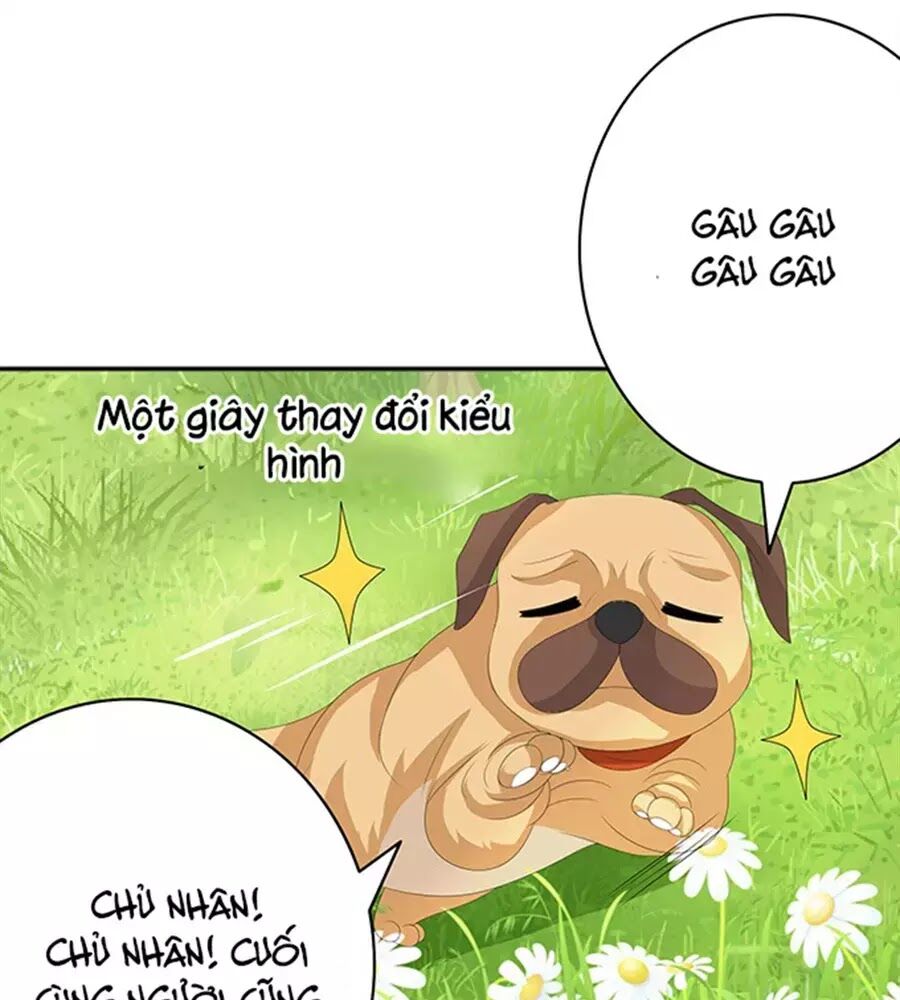 Vương Tử Nhà Tôi Là Nô Bộc: Chapter 89