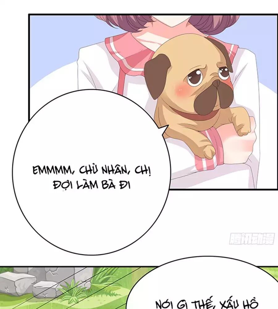 Vương Tử Nhà Tôi Là Nô Bộc: Chapter 89