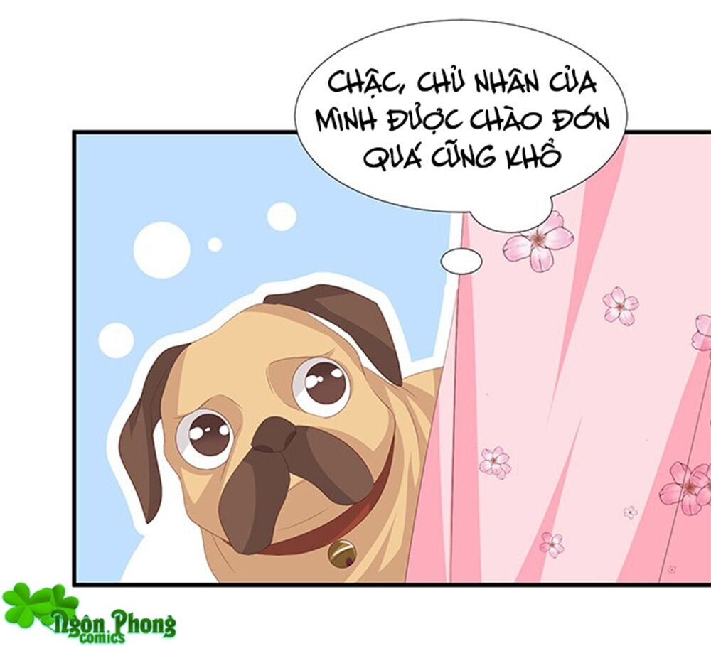 Vương Tử Nhà Tôi Là Nô Bộc: Chapter 91