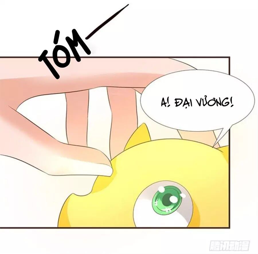 Vương Tử Nhà Tôi Là Nô Bộc: Chapter 98