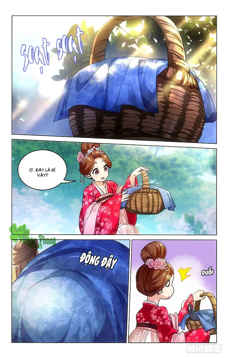 Vương Gia ! Không nên a !: Chapter 205