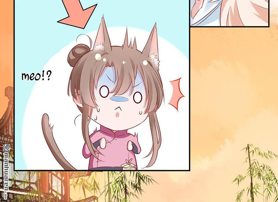 Hoàng phi 9000 tuổi: Chapter 10