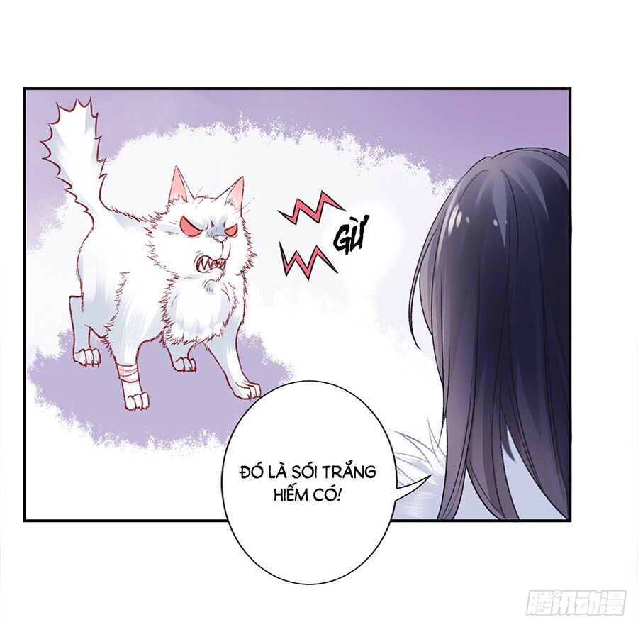 Hoàng phi 9000 tuổi: Chapter 19