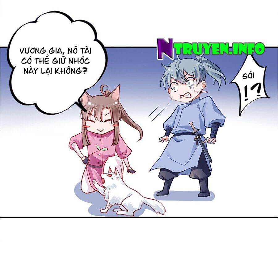 Hoàng phi 9000 tuổi: Chapter 19