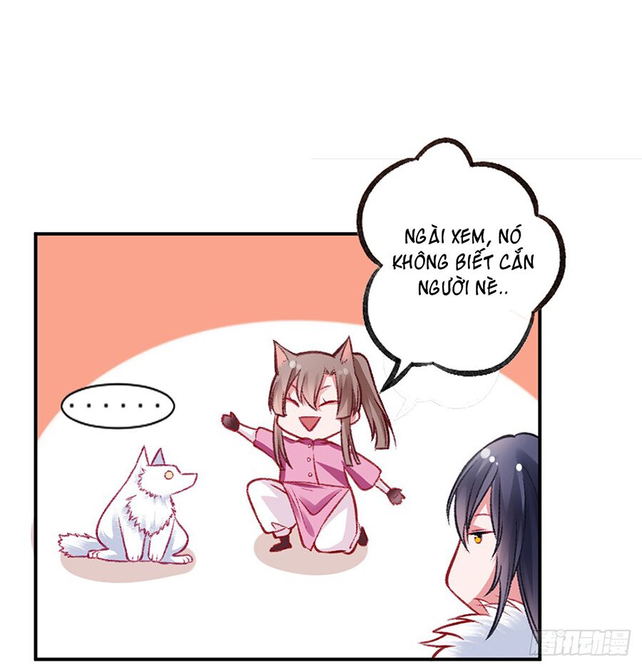 Hoàng phi 9000 tuổi: Chapter 19