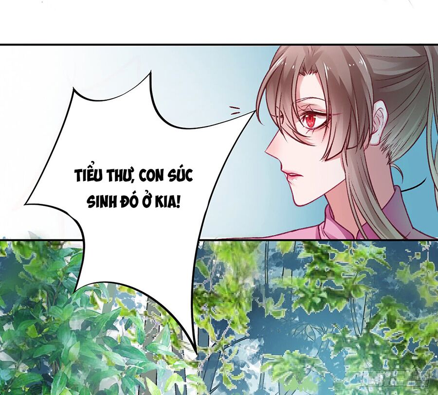 Hoàng phi 9000 tuổi: Chapter 19