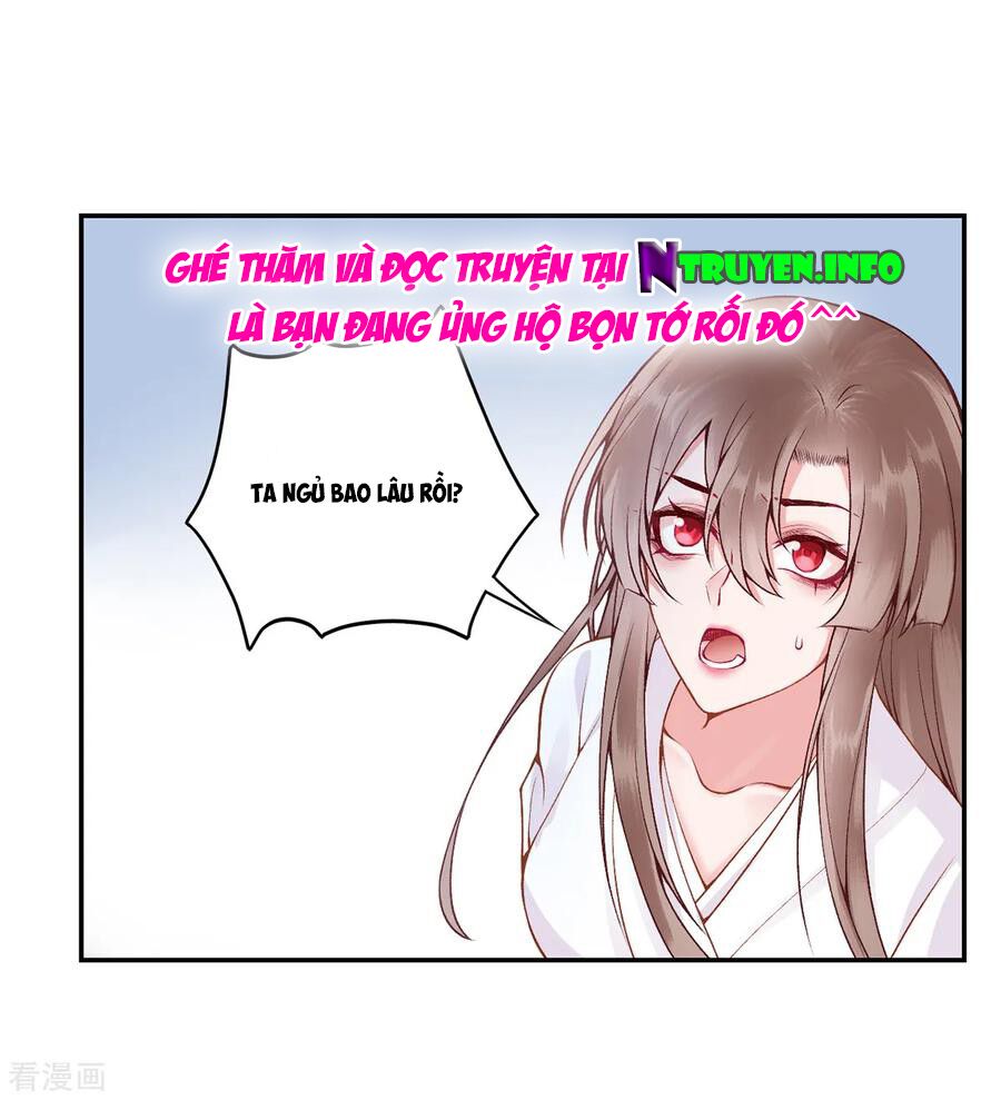 Hoàng phi 9000 tuổi: Chapter 77