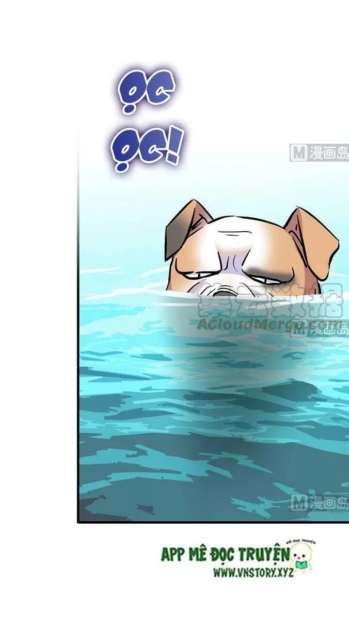 Ngọt ngào uy vũ: Boss sủng đến nghiện: Chapter 187