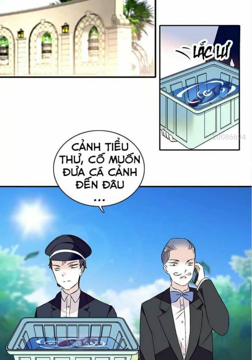 Ngọt ngào uy vũ: Boss sủng đến nghiện: Chapter 26