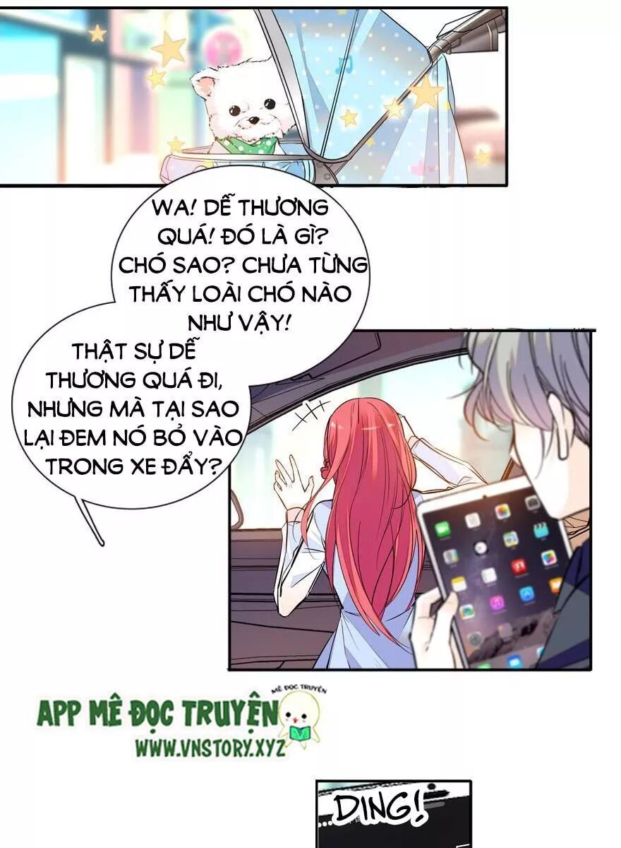 Ngọt ngào uy vũ: Boss sủng đến nghiện: Chapter 51