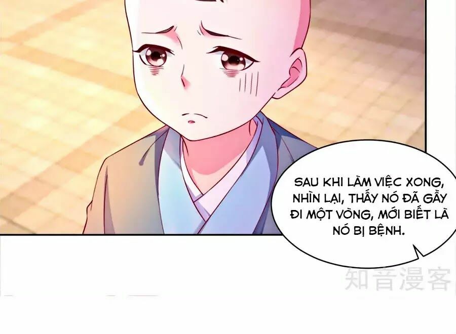 Nông Nữ Thù Sắc: Chapter 172