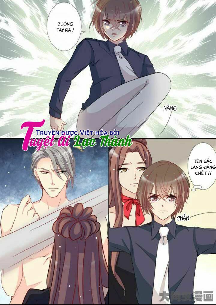 The stars are not luminous body: Chapter 104