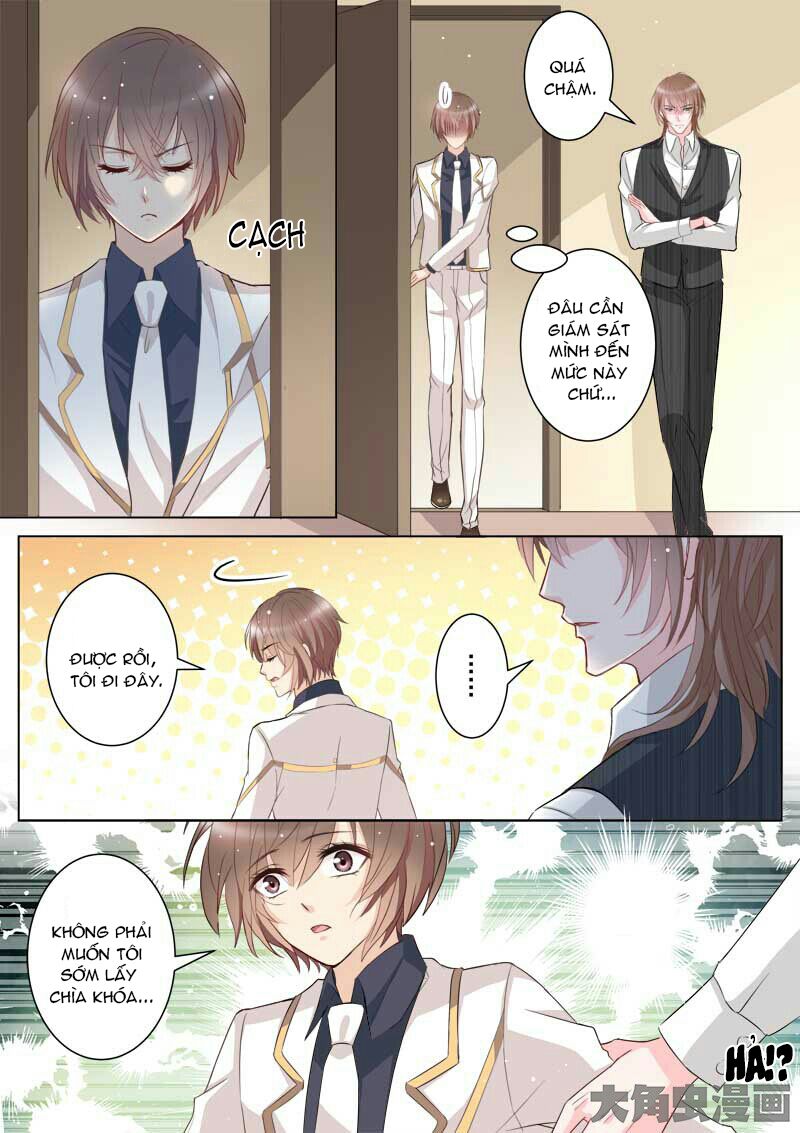 The stars are not luminous body: Chapter 31