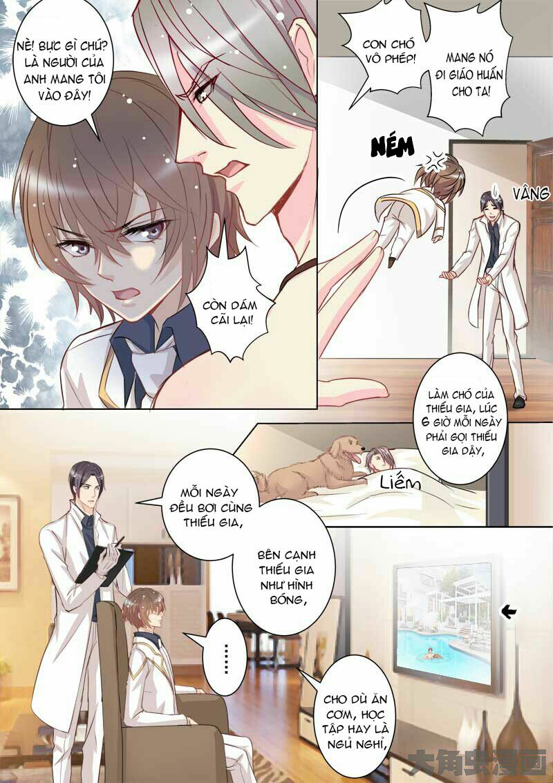 The stars are not luminous body: Chapter 32
