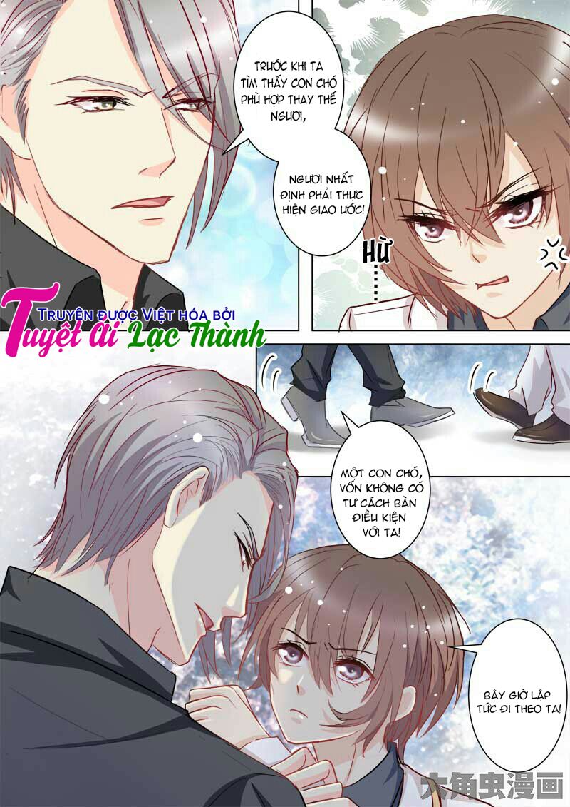 The stars are not luminous body: Chapter 41