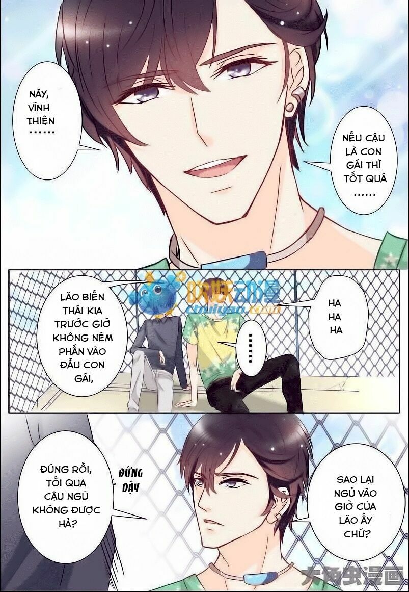 The stars are not luminous body: Chapter 8