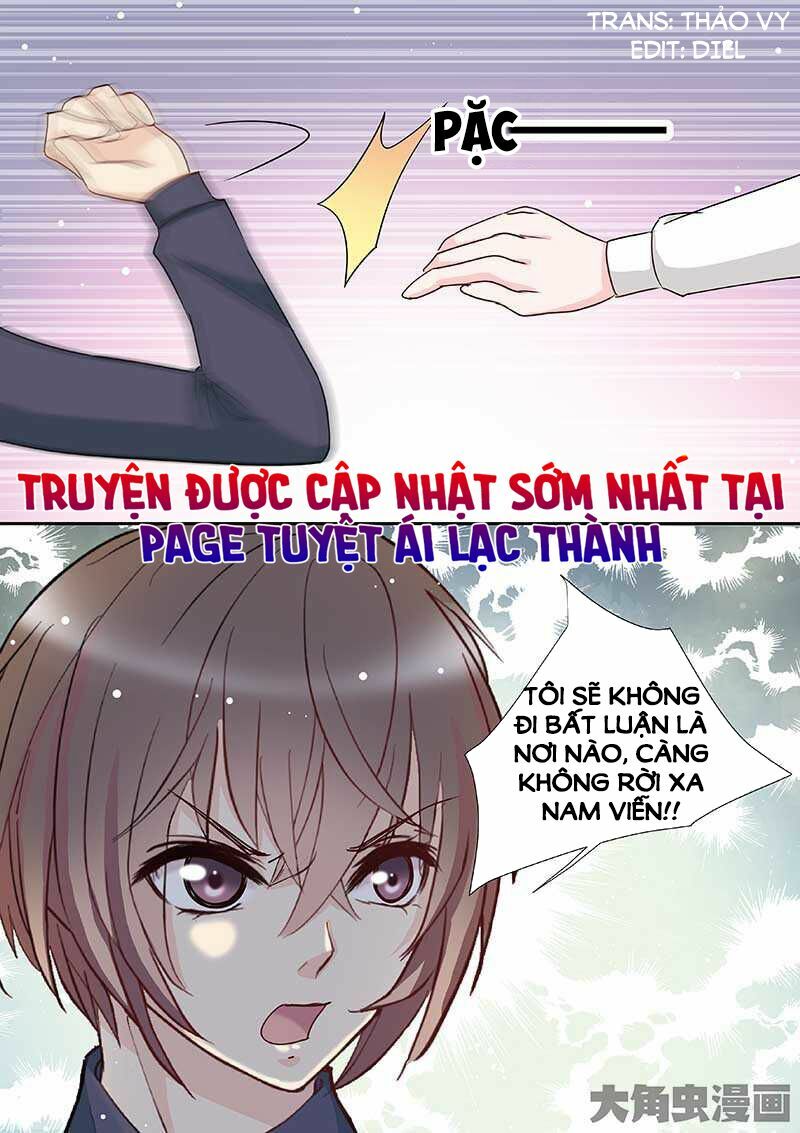 The stars are not luminous body: Chapter 81