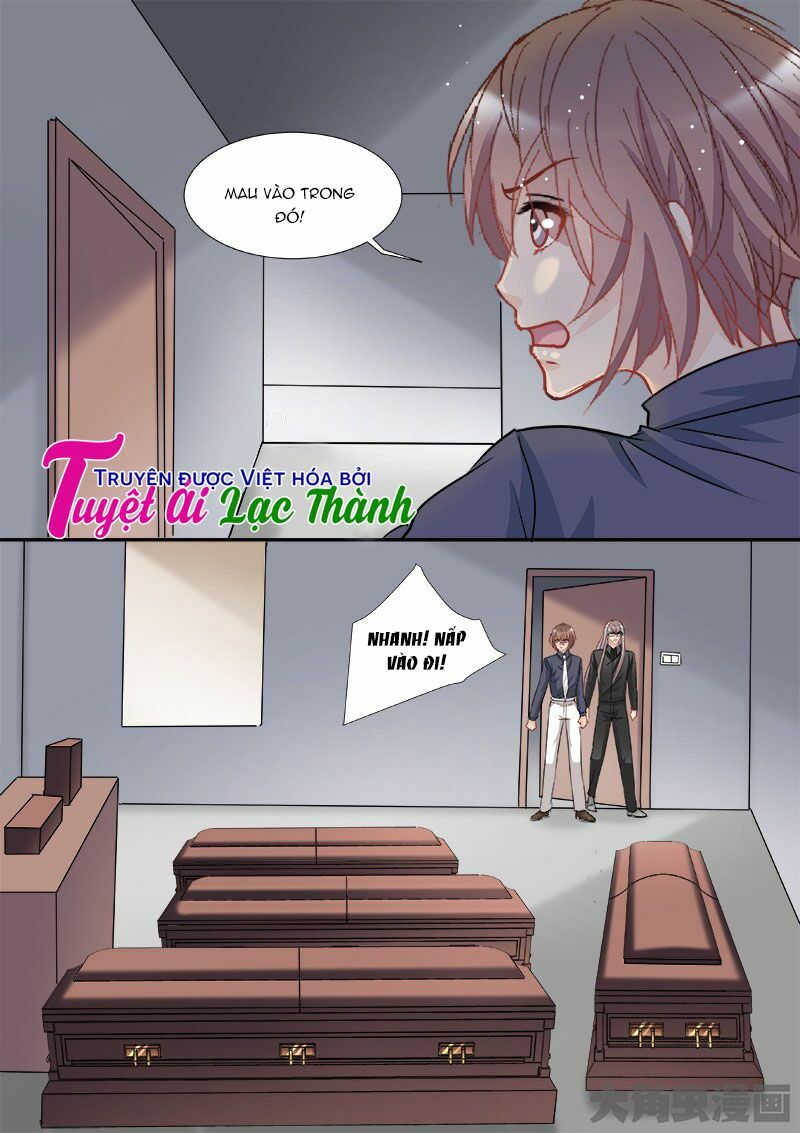 The stars are not luminous body: Chapter 92