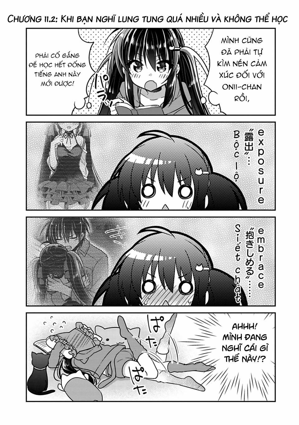 Siscon Ani To Brocon Imouto Ga Shoujiki Ni Nattara: Chapter 11.5