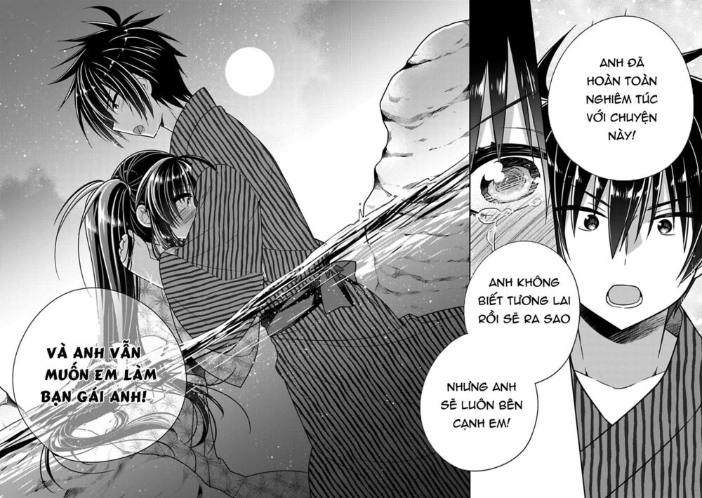 Siscon Ani To Brocon Imouto Ga Shoujiki Ni Nattara: Chapter 15.5