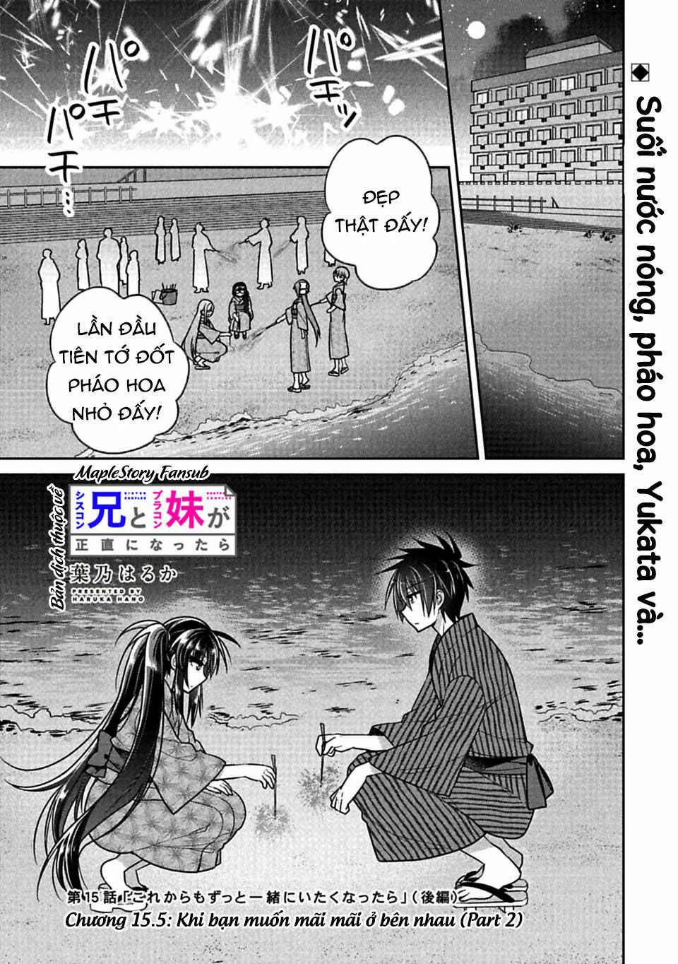 Siscon Ani To Brocon Imouto Ga Shoujiki Ni Nattara: Chapter 15.5