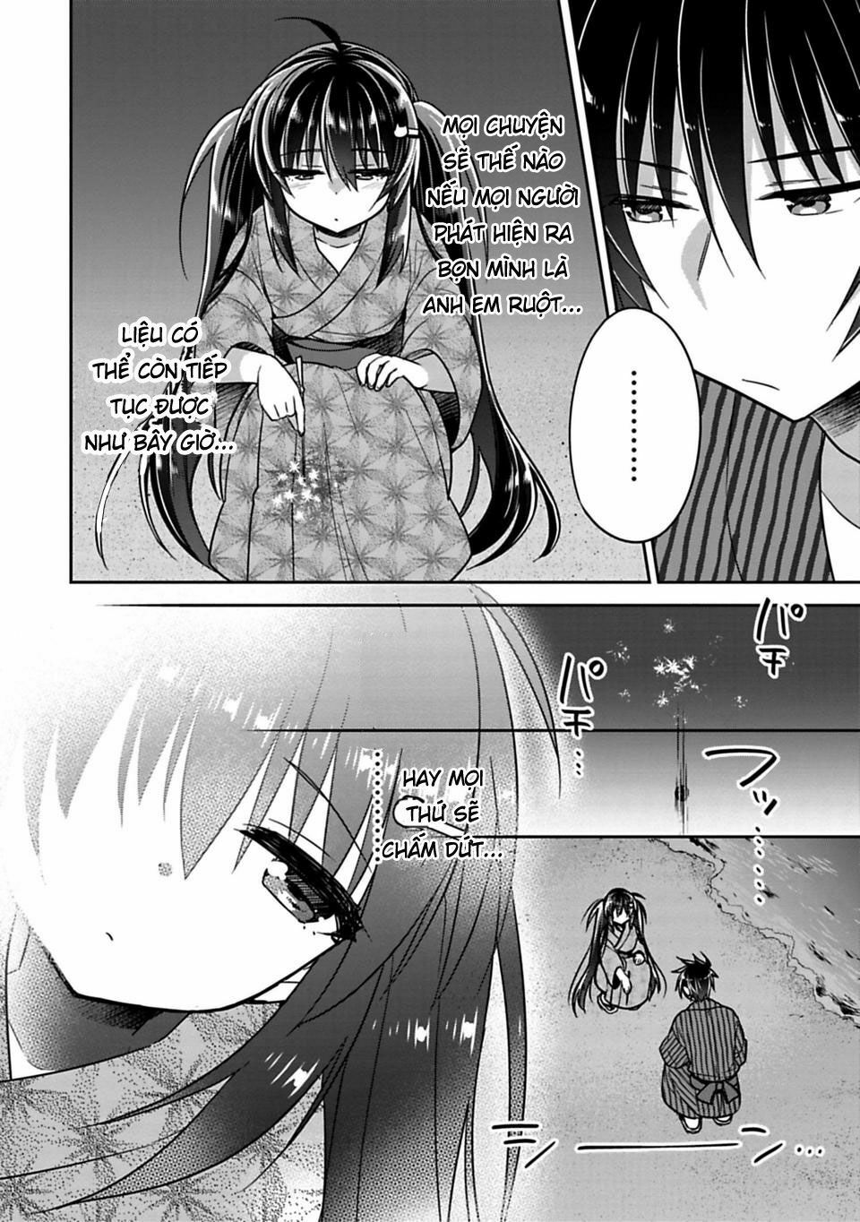 Siscon Ani To Brocon Imouto Ga Shoujiki Ni Nattara: Chapter 15.5
